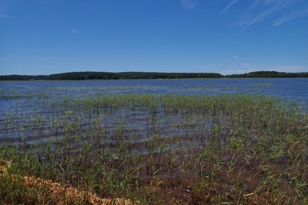TG20240619_047.jpg