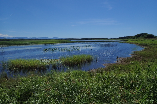 TG20240619_064.jpg
