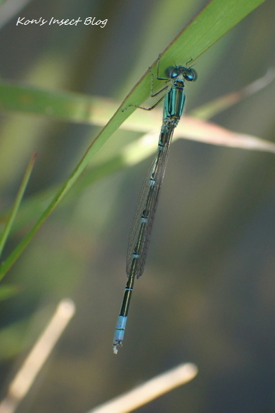 TG20240620_007.jpg