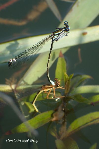 TG20240620_024.jpg