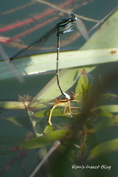 TG20240620_025.jpg