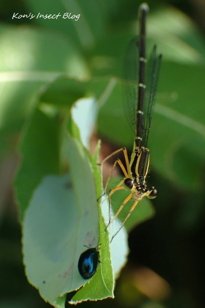 TG20240620_045.jpg