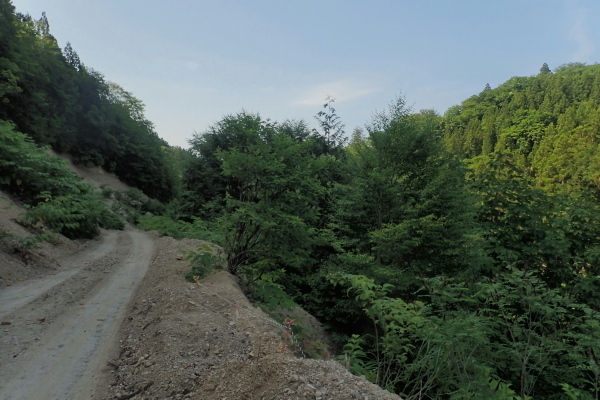 TG20240620_095.jpg