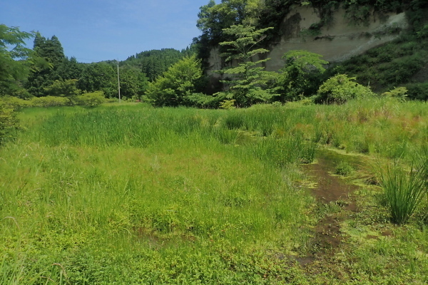 TG20240622_071.jpg