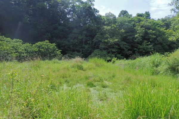 TG20240622_072.jpg