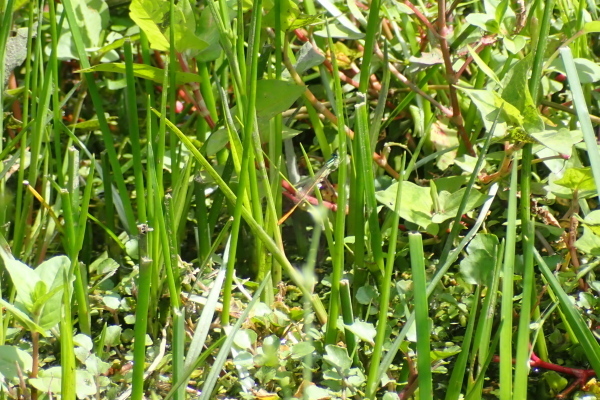 TG20240622_075.jpg