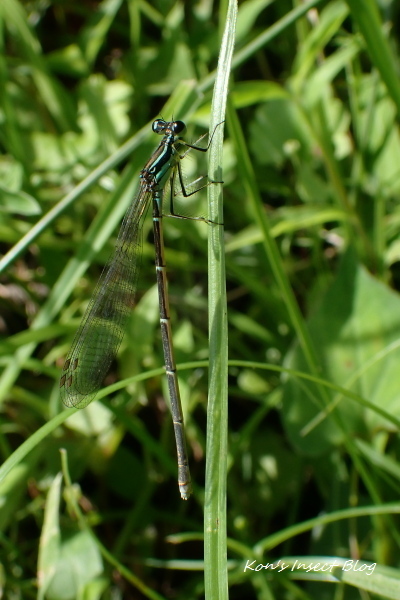 TG20240622_081.jpg