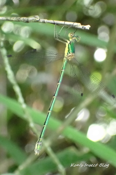 TG20240622_116.jpg