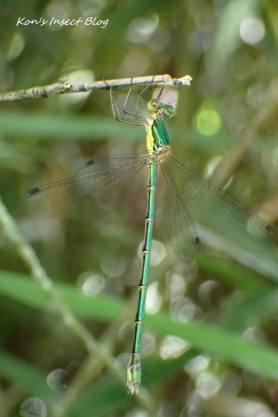 TG20240622_117.jpg