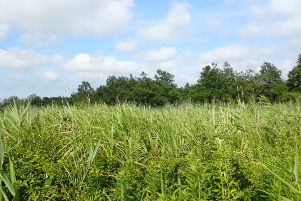TG20240718_050.jpg