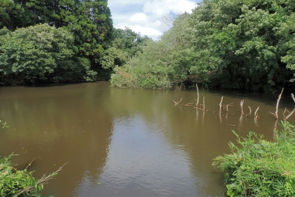 TG20240719_071.jpg