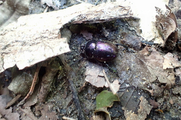 TG20240824_016.jpg