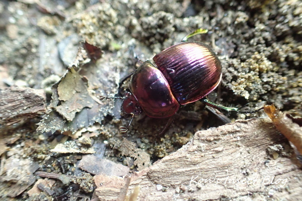 TG20240824_017.jpg