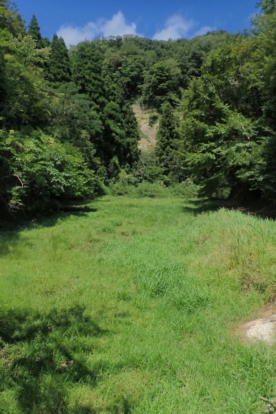 TG20240824_022.jpg
