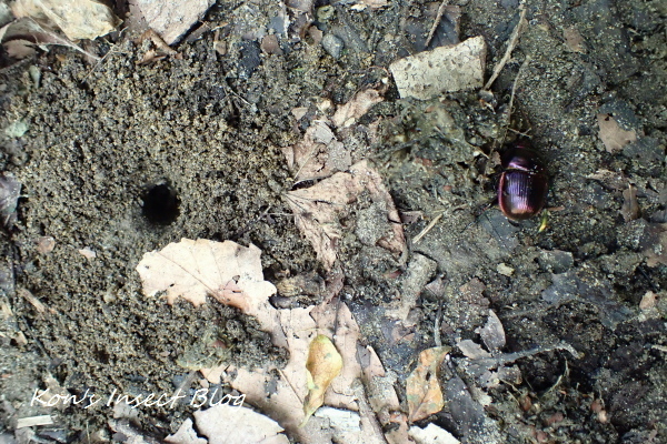 TG20240824_026.jpg