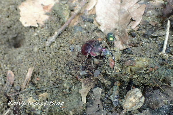 TG20240824_031.jpg