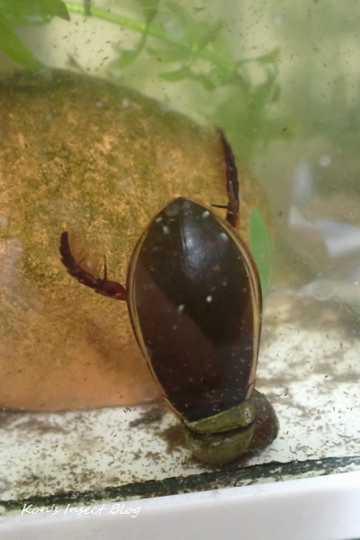 TG20240825_004.jpg