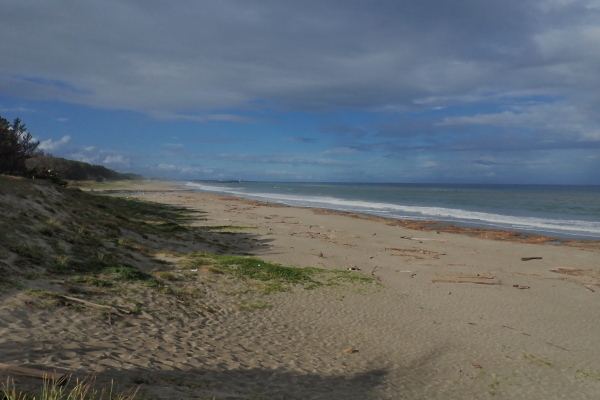 TG20240914_004.jpg