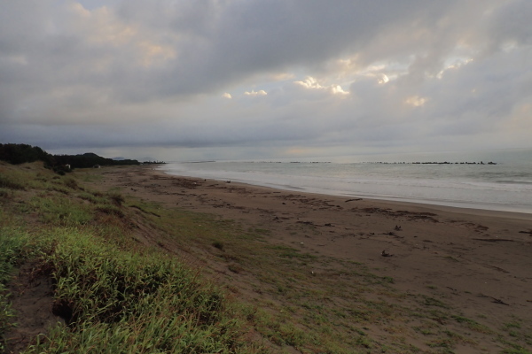 TG20240915_002.jpg