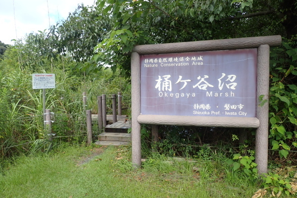 TG20240915_014.jpg