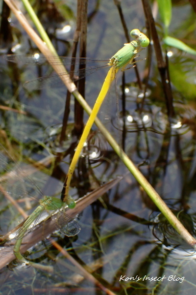 TG20240915_032.jpg