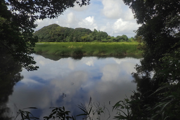 TG20240915_085.jpg