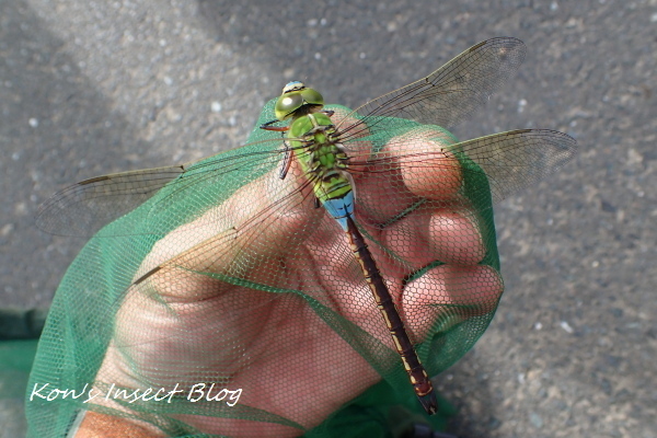 TG20240915_089.jpg