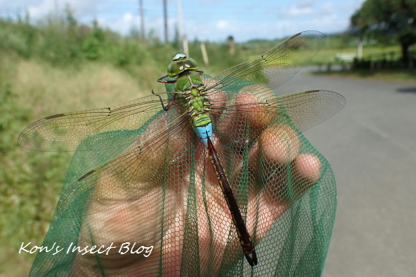 TG20240915_090.jpg