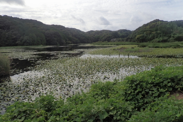 TG20240915_093.jpg