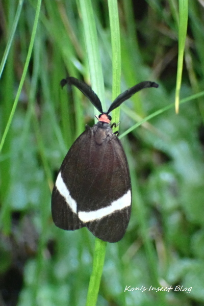 TG20241002_019.jpg