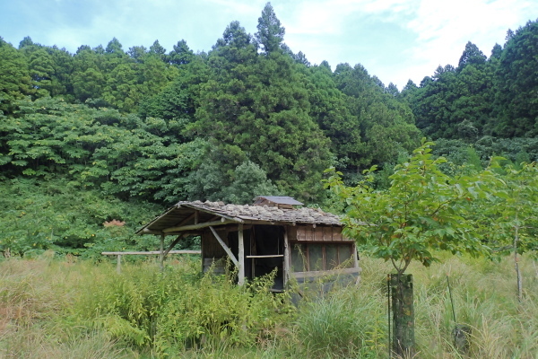 TG20241002_047.jpg