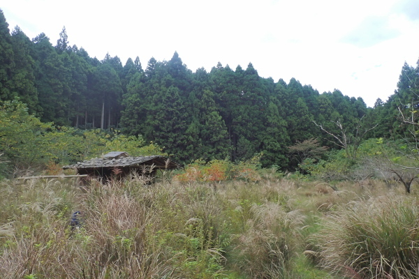 TG20241101_003.jpg