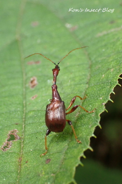 TG20241101_019.jpg