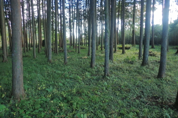 TG20241107_027.jpg