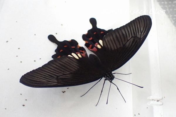 TG20241115_005.jpg