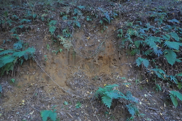 TG20241125_003.jpg