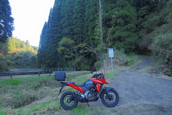 TG20241125_037.jpg