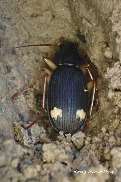 TG20241125_039.jpg