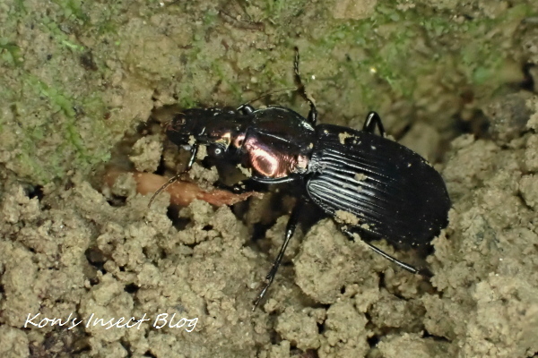 TG20241125_043.jpg