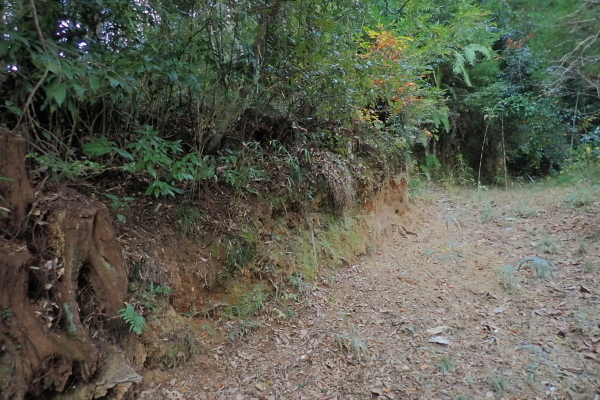 TG20241207_004.jpg