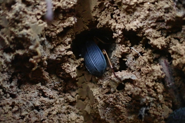 TG20241207_005.jpg