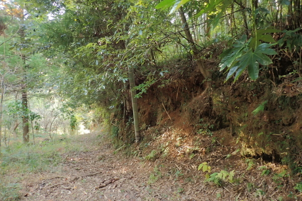 TG20241207_012.jpg