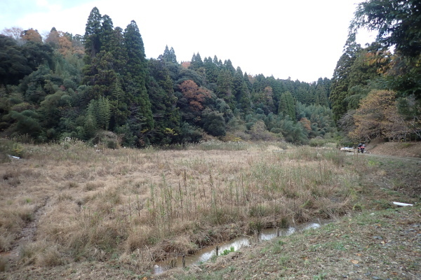 TG20241207_014.jpg