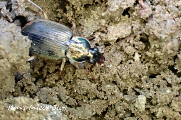 TG20241207_020.jpg