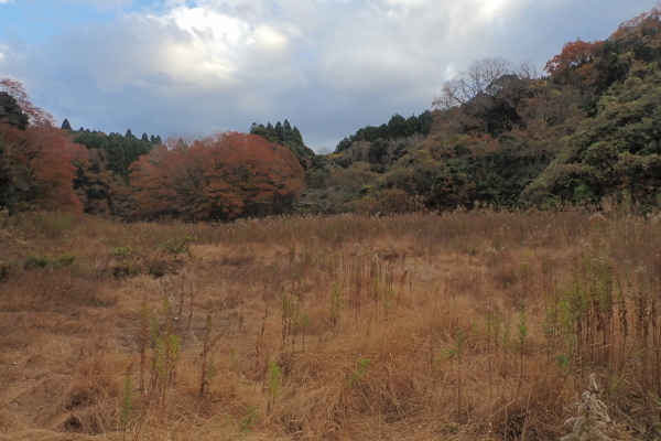 TG20241207_027.jpg