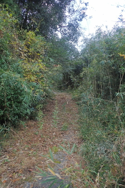 TG20241207_028.jpg