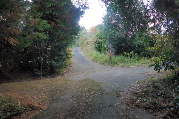 TG20241207_031.jpg