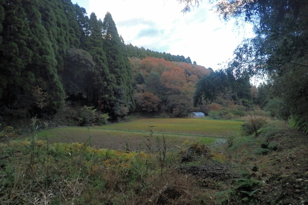 TG20241207_033.jpg