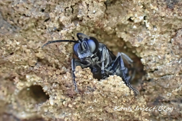 TG20241207_039.jpg
