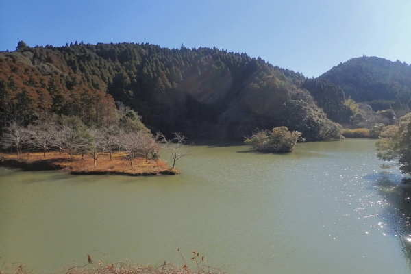 TG20250113_002.jpg